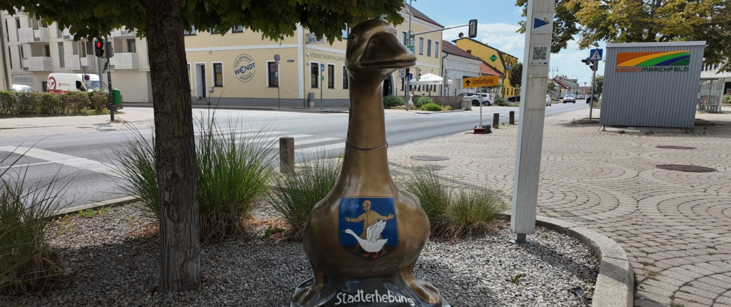 Gemeinde Gänserndorf Gans - Credits Dominik Kautz Gemeinde Gänserndorf Gans - Credits Dominik Kautz
